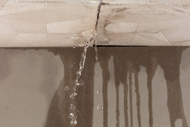 Professional Burst Pipe Cleanup technician working in Centreville, VA